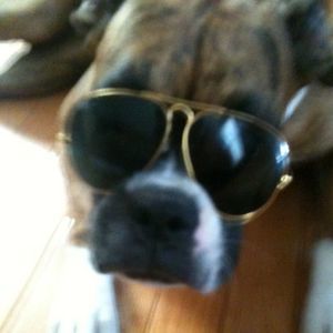 Meet your Posher, Justin